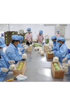 đồng phục  công nhân 08